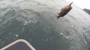 Океанская рыбалка на Аляске. Разделка палтуса.