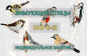 Зимующие птицы