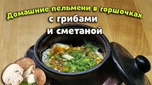 Домашние пельмени в горшочках с грибами и сметаной