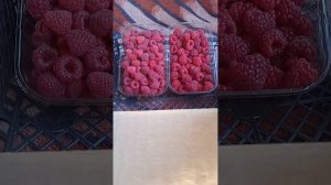 Малина Полонез, Маравилла, Мопема.