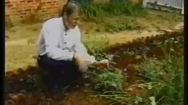 gardens of westville смотреть онлайн