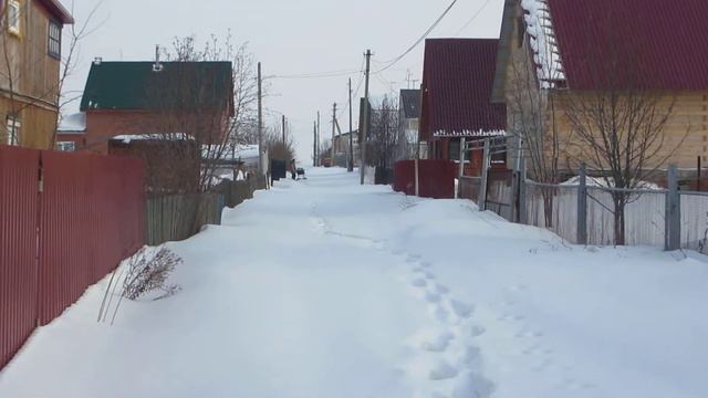 Заячьи следы