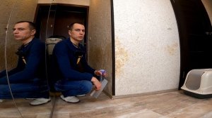 Ремонт жидких обоев после кошки #жидкиеобои