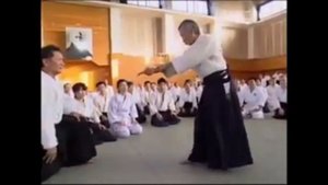 Nobuyoshi Tamura's Irimi