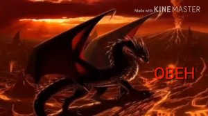 Какой ты дракон по знаку зодиака ?