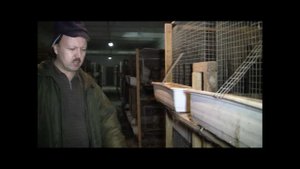 Питомник А Еситашвили Содержание молодняка кур ч 1