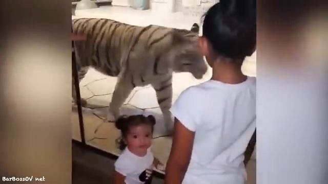 Самые смешные угарные виде с детьми и животными