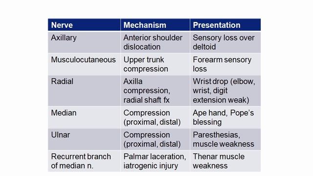 USMLE RX - 8.Анатомия - 1.Анат,физо - 18.Нервы верхних конечностей