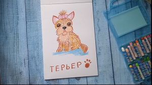 Как нарисовать йоркширского терьера