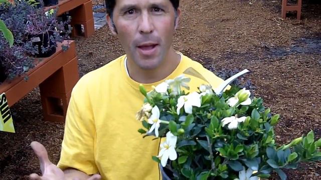 These make scents! смотреть онлайн