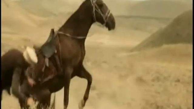 ОХОТНИК ЗА КАРАВАНАМИ