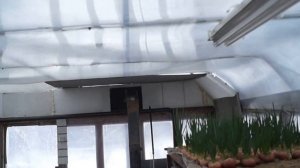 ЗИМНЯЯ ТЕПЛИЦА СВОИМИ РУКАМИ ЗА КОПЕЙКИ (БИЗНЕС В ДЕРЕВНЕ)