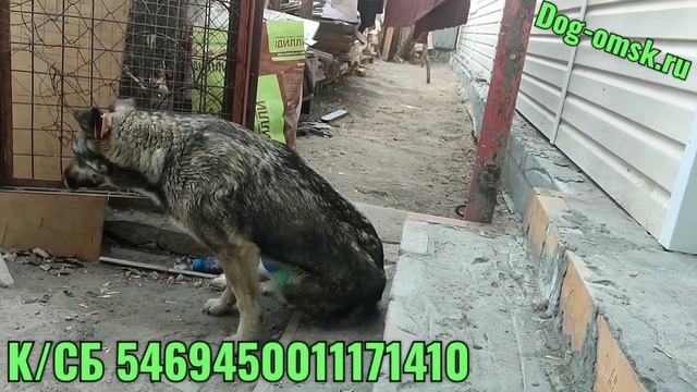 У КЛАРИССЫ всё не просто. смотреть онлайн