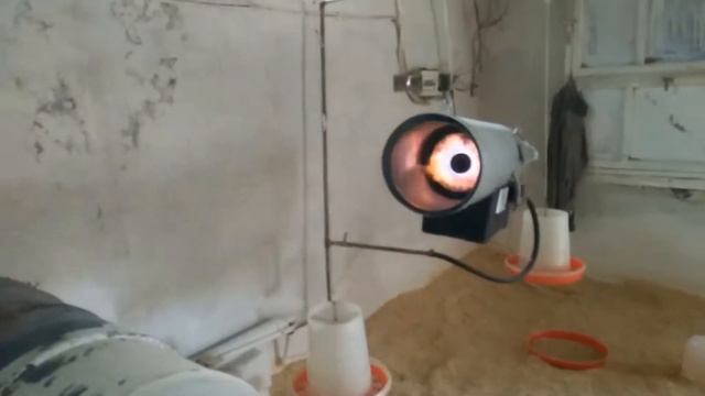 2020 БРОЙЛЕРНЫЕ цыплята от А до Я. Часть 3 я. смотреть онлайн