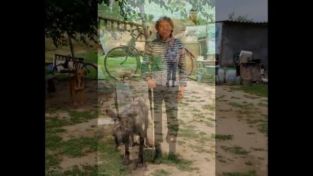 Приазовский национальный природный парк - Путешествуем по Украине! смотреть онлайн