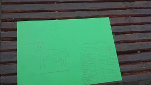 Коровьи приметы и заговоры. Рацион коровы на день по Госту.