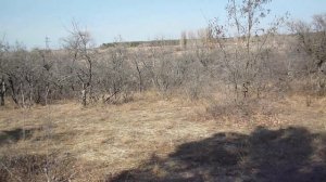 Весенний поход дилетанта на природу. Выпуск 2 (2ч)