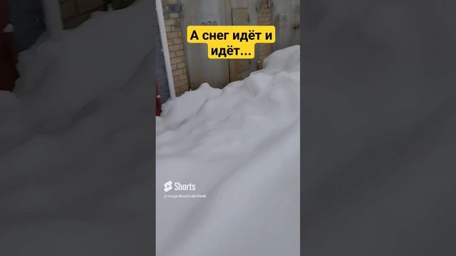 Гараж замело #SHORTS