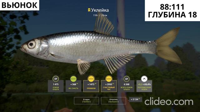 #рр4 #вьюнок Трофейный голавль + 2 трофейных уклейки, пока ловил живца) смотреть онлайн