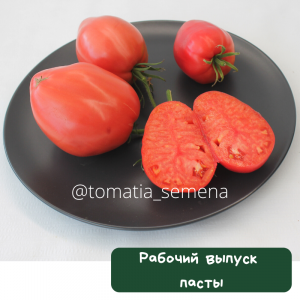 Рабочий выпуск пасты