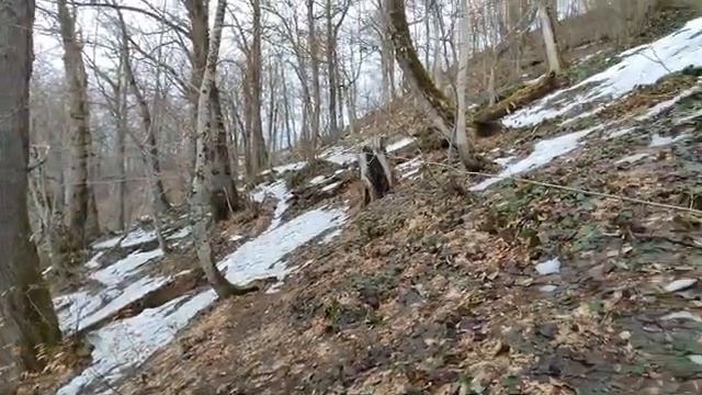 ПВД* на Семеновский шпиль, Пик Брежнева (978м) на хребте Алек от Семеновки (Сочи). Март 2023