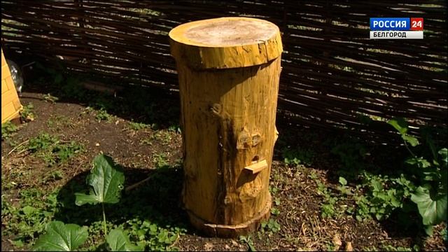 Программа «Агробизнес» от 14 августа 2019 года смотреть онлайн