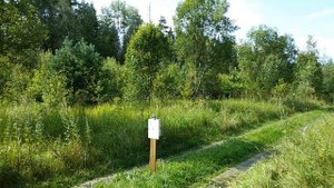 Crosman 2240 -25 метров