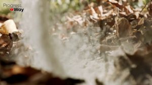 ХОТИТЕ МНОГО КРУПНОЙ МАЛИНЫ В СЛЕДУЮЩЕМ ГОДУ? 3 СЕКРЕТА КОТОРЫЕ ДЕЛАЮТ ИЗ МЕЛКОЙ МАЛИНЫ КРУПНУЮ!