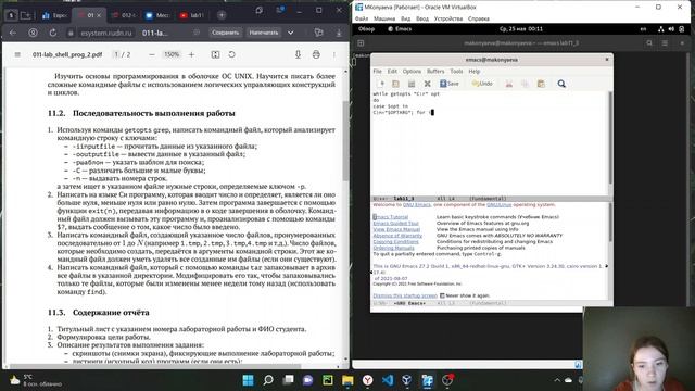 Лабораторная работа 11 (Операционные системы)