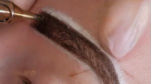 Фрагмент процедуры Напыление промо