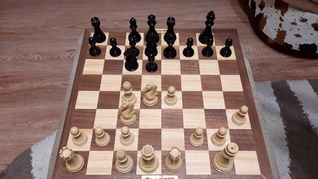 Шахматная ловушка, которая гарантирует победу в дебюте. Ловим ферзя или ставим мат в шахматах. смотреть онлайн