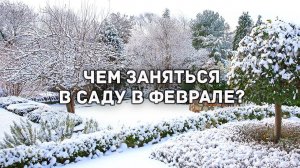 Чем заняться в саду в феврале?