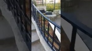 Газонное ограждение. Сходня.