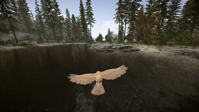 Playing As An Eagle NPC | Sons of the Forest Mods