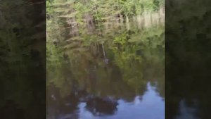 Лодка HDX OXYGEN 280AL и Mercury 9.9 4-такта