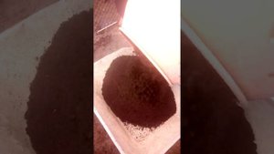 Приготовление торфа в домашних условиях