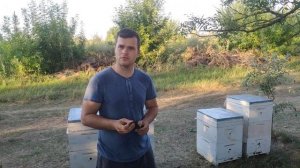 Итоги сезона 2021. И лучшая порода пчел на нашей пасеке)))