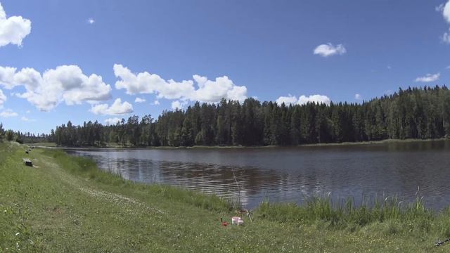 Ловля карпа 23.06.17 Carp fishing смотреть онлайн