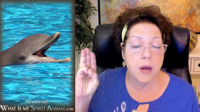 Dolphin Spirit Animal | Dolphin Totem & Power Animal | Dolphin Symbolism & Meanings смотреть онлайн