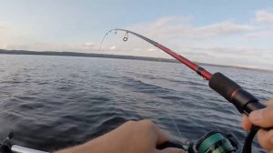 Вечерняя рыбалка на отводной поводок // fishing on a leash