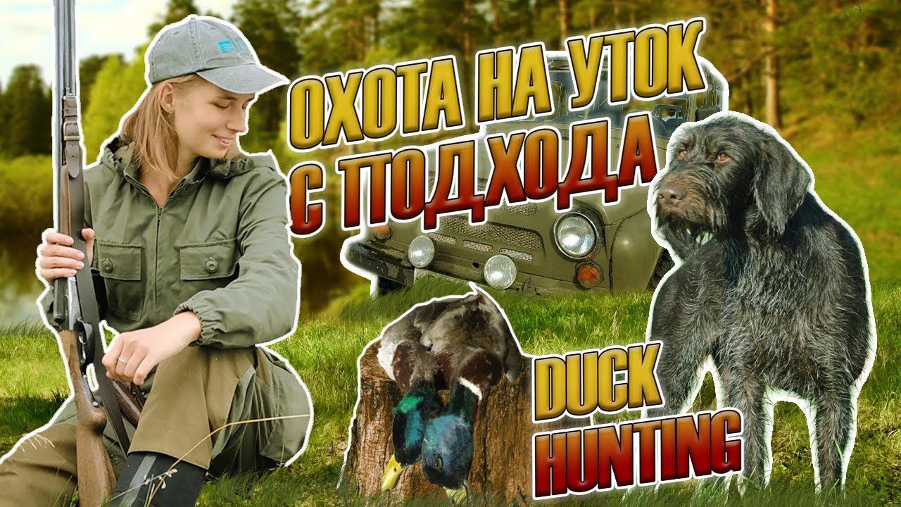 Охота на уток с подхода, девушка охотник / duck hunting, girl hunter смотреть онлайн