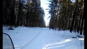ПОКАТУШКИ НА СНЕГОХОДЕ ПО ЛЕСУ, ПЕРЕГРЕЛИСЬ ТУНГУС 500,600,400 Весна в лесу..