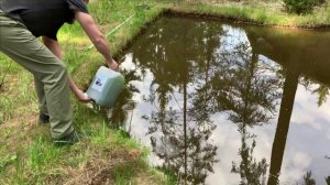 Долив хлореллы в пруд.Очистка воды.