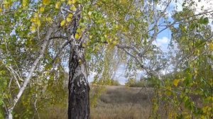 Тавричанка село Любинского района Омской области_Tavrichanka is a village in Omsk region