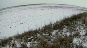 Охота на КУРОПАТКУ со СПАНИЕЛЕМ стала в разы ИНТЕРЕСНЕЕ!!!2018г.Partridge Hunting.