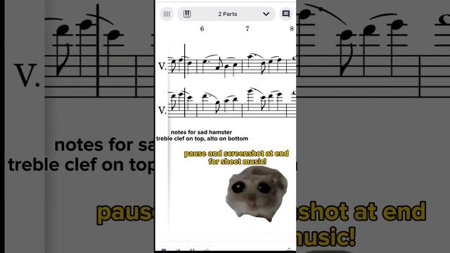 for anyone wanting the notes for this, here you go! 🎶 #sheetmusic #notes #sadhamster #violin #viola