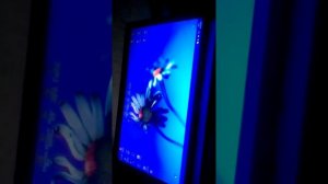 Я говорю краткое содержание ,,Городок в табакерки"