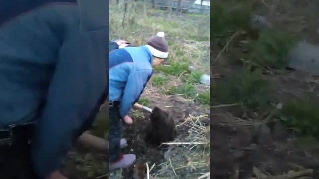 Выкапываем червей смотреть онлайн