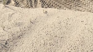 УАЗ Патриот 2008 года