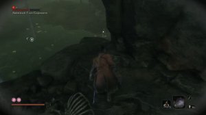 Прохождение Sekiro: Shadows Die Twice - Ядовитый пруд в Глубинах Асина. Змеиный глаз Сирахаги #32